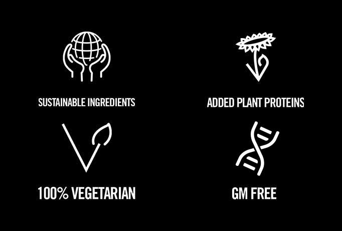 Muscle Protein