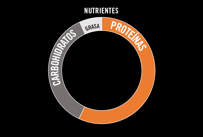 Muscle Protein