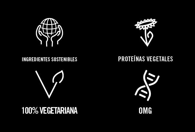 Muscle Protein