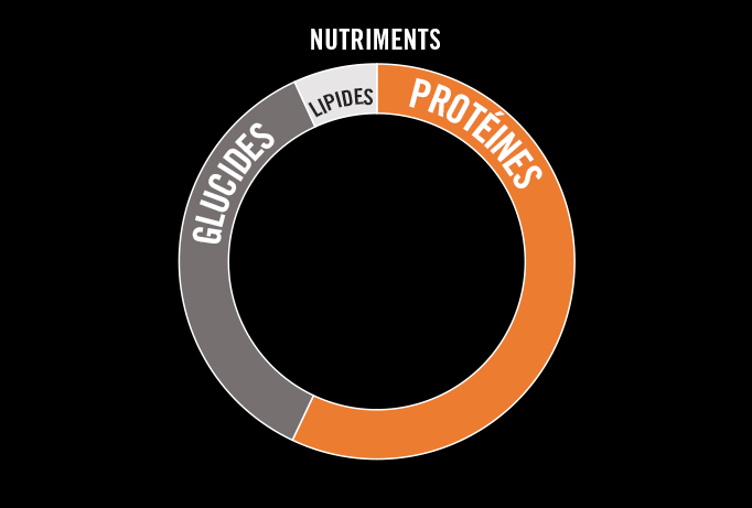 Muscle Protein
