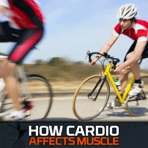 How Cardio Affects Muscle