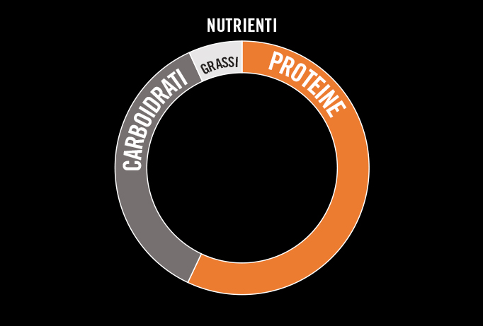 Muscle Protein
