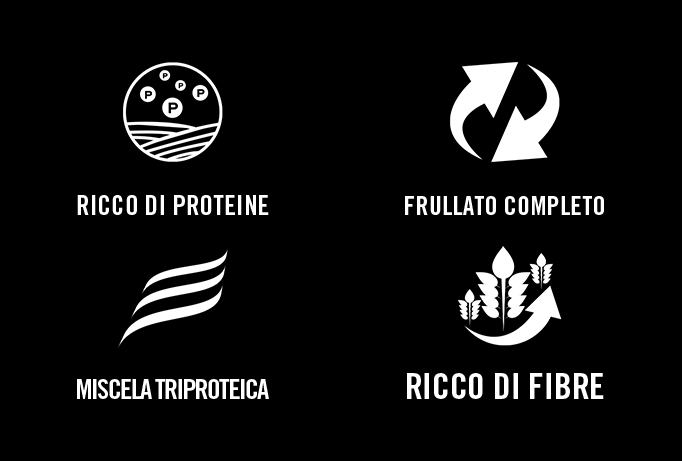 Muscle Protein