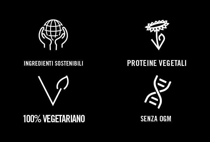 Muscle Protein